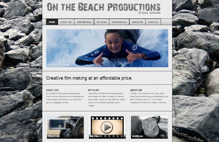 Website design Cornwall - Seagene